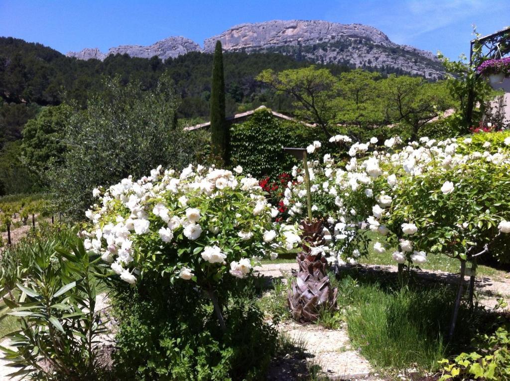 مبيت وإفطار Lafare Le Grand Jardin المظهر الخارجي الصورة