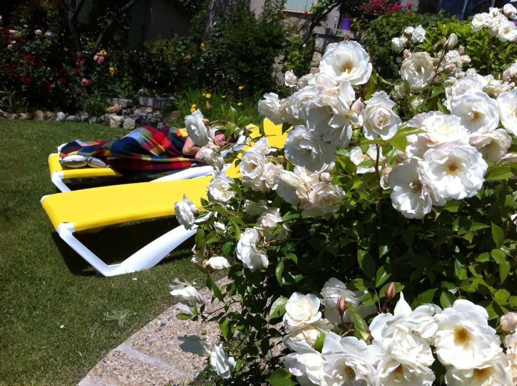 مبيت وإفطار Lafare Le Grand Jardin المظهر الخارجي الصورة