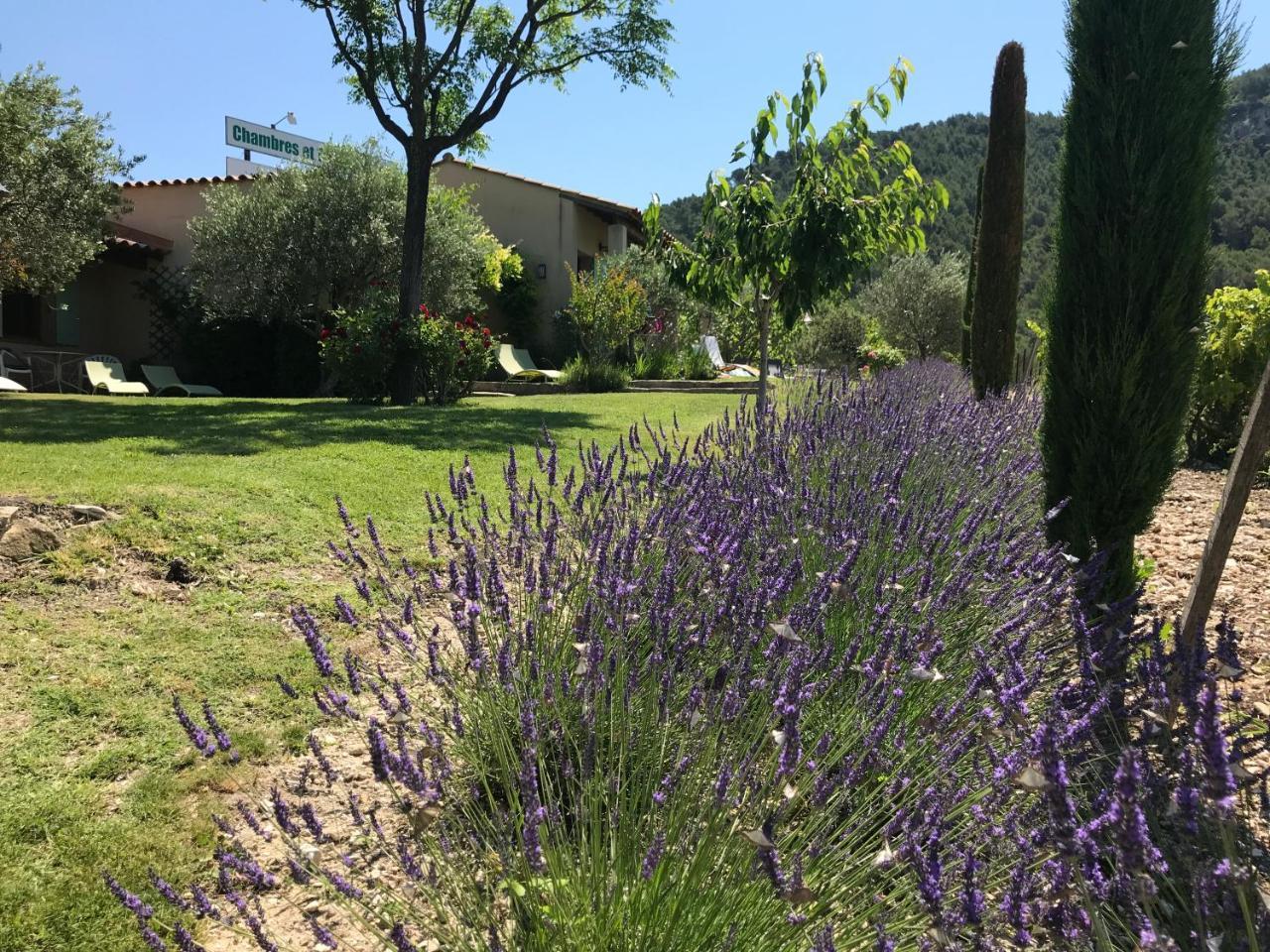 مبيت وإفطار Lafare Le Grand Jardin المظهر الخارجي الصورة